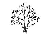 b2vln001.dwg