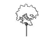 b2vln002.dwg