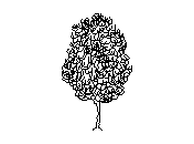 b2vln021.dwg