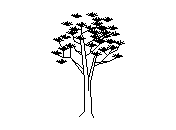 b2vln027.dwg