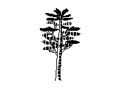 b2vln028.dwg