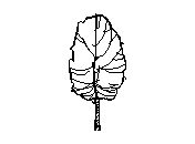 b2vls032.dwg