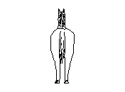 c1vas005.dwg