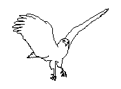 c1vln001.dwg