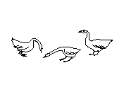 c1vln002.dwg