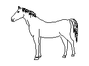 c1vls005.dwg