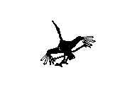 c23dn013.dwg