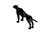 c23dn042.dwg