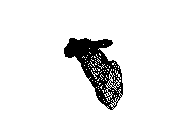 c23dn047.dwg