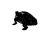 c23dn065.dwg