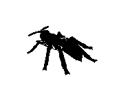 c23dn066.dwg