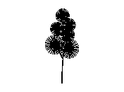 d3vln002.dwg