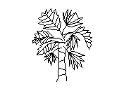 d3vln062.dwg