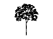d3vln068.dwg