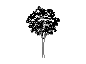 d3vln070.dwg