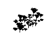 d43dn005.dwg