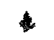 d43dn014.dwg