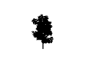 d43dn016.dwg