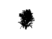 d43dn020.dwg