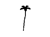 d43dn021.dwg