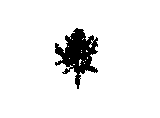 d43dn028.dwg