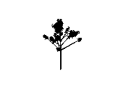 d43dn032.dwg