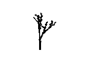 d43dn034.dwg