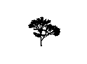 d43dn041.dwg