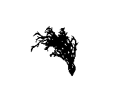 d53dn004.dwg