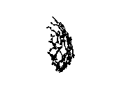 d53dn005.dwg