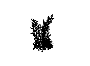 d53dn008.dwg