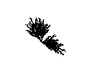 d53dn010.dwg