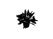 d53dn018.dwg