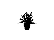 d53dn021.dwg