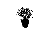 d53dn023.dwg