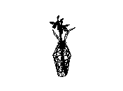 d53dn026.dwg