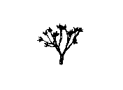 d53dn028.dwg