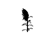 d53dn051.dwg