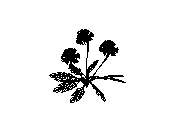 d53dn054.dwg
