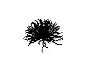 d53dn061.dwg
