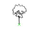 B2VLN002.dwg