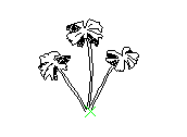 B2VLN009.dwg