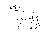C1VLN013.dwg