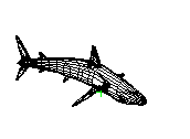 C23DN032.dwg