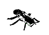 C23DN066.dwg