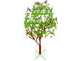D43DN002.dwg