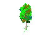 D43DN010.dwg