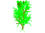 D43DN018.dwg