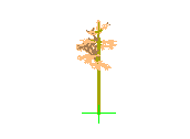 D43DN024.dwg