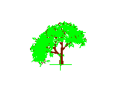 D43DN027.dwg
